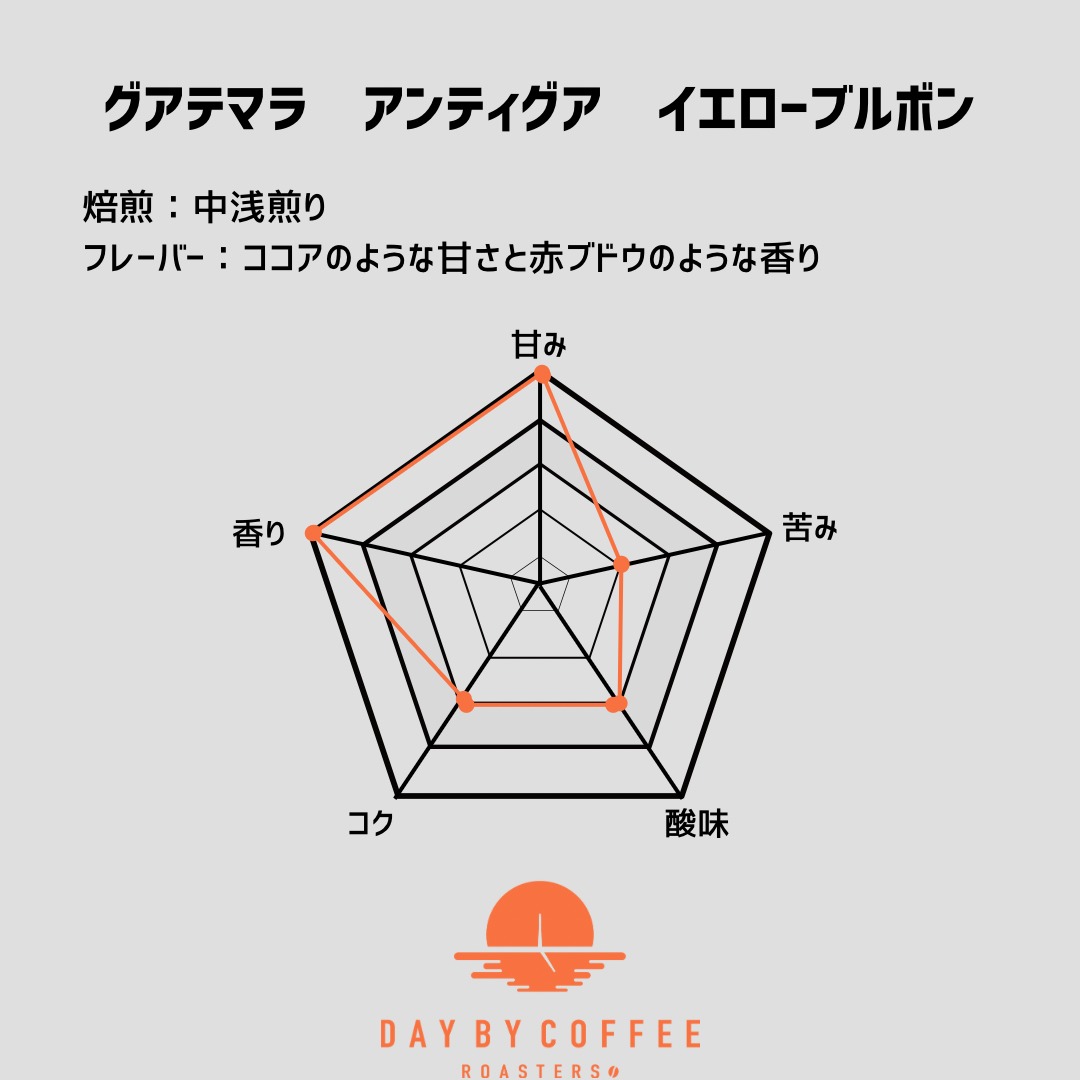 グアテマラ アンティグア イエローブルボン
